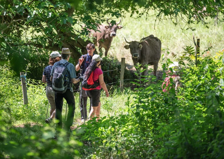 Garrotxa Volcanic Walking – Festival de Senderismo de la Garrotxa