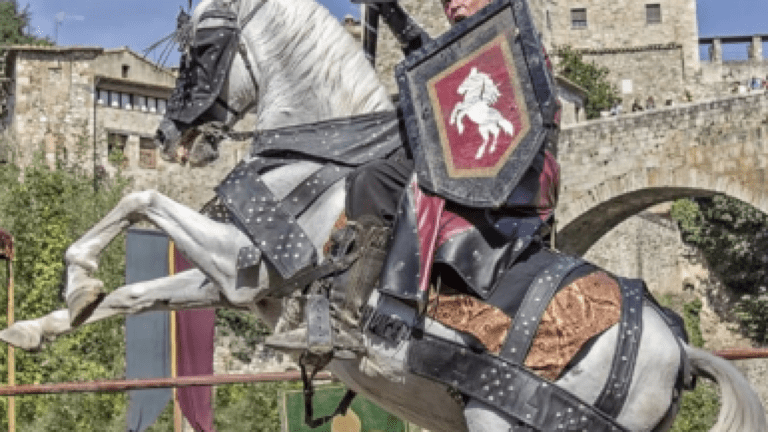 Medieval dinner with show