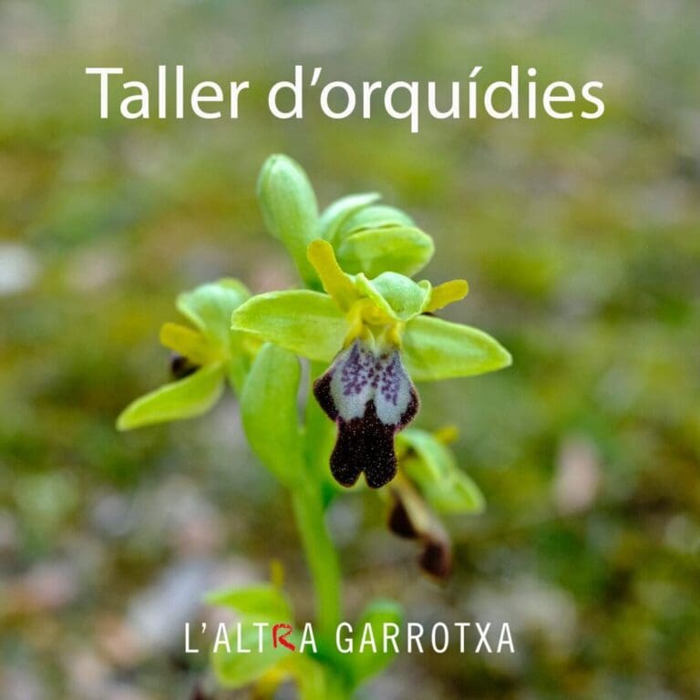 Taller d'Orquídies de l'Alta Garrotxa