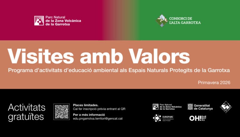 visites_valors_portada