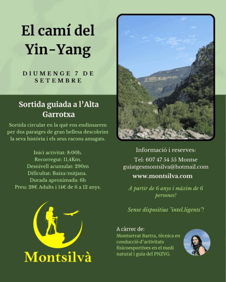 El camí del Yin-Yang