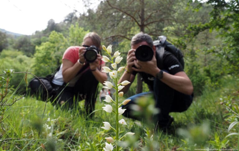Ecotourism