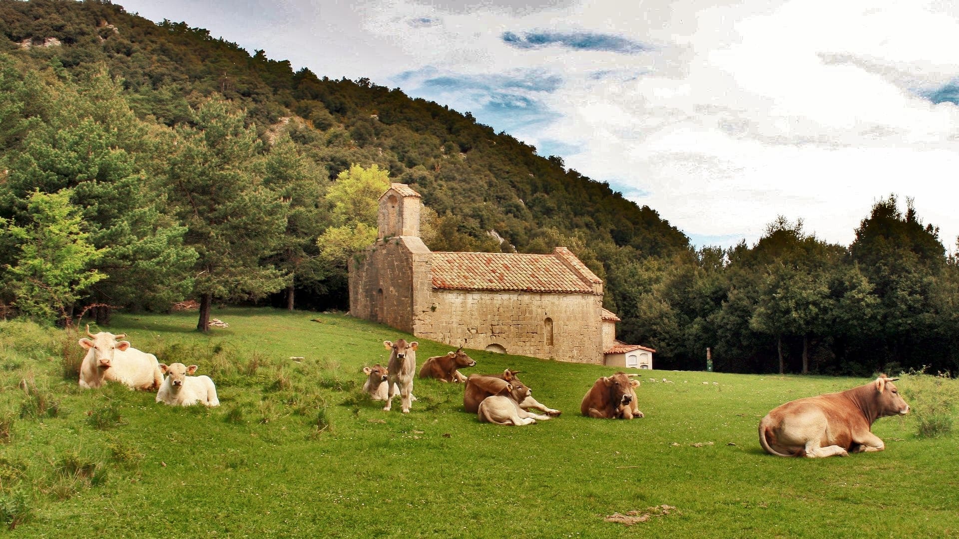 Sales de Llierca
