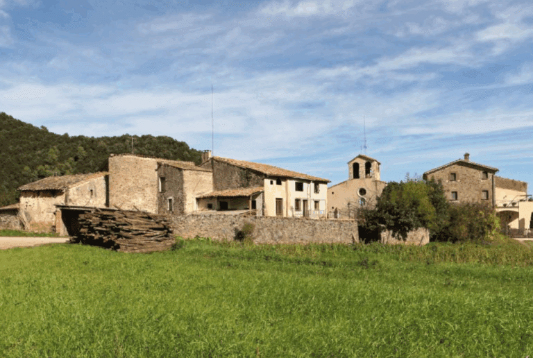 Aplec del Sallent