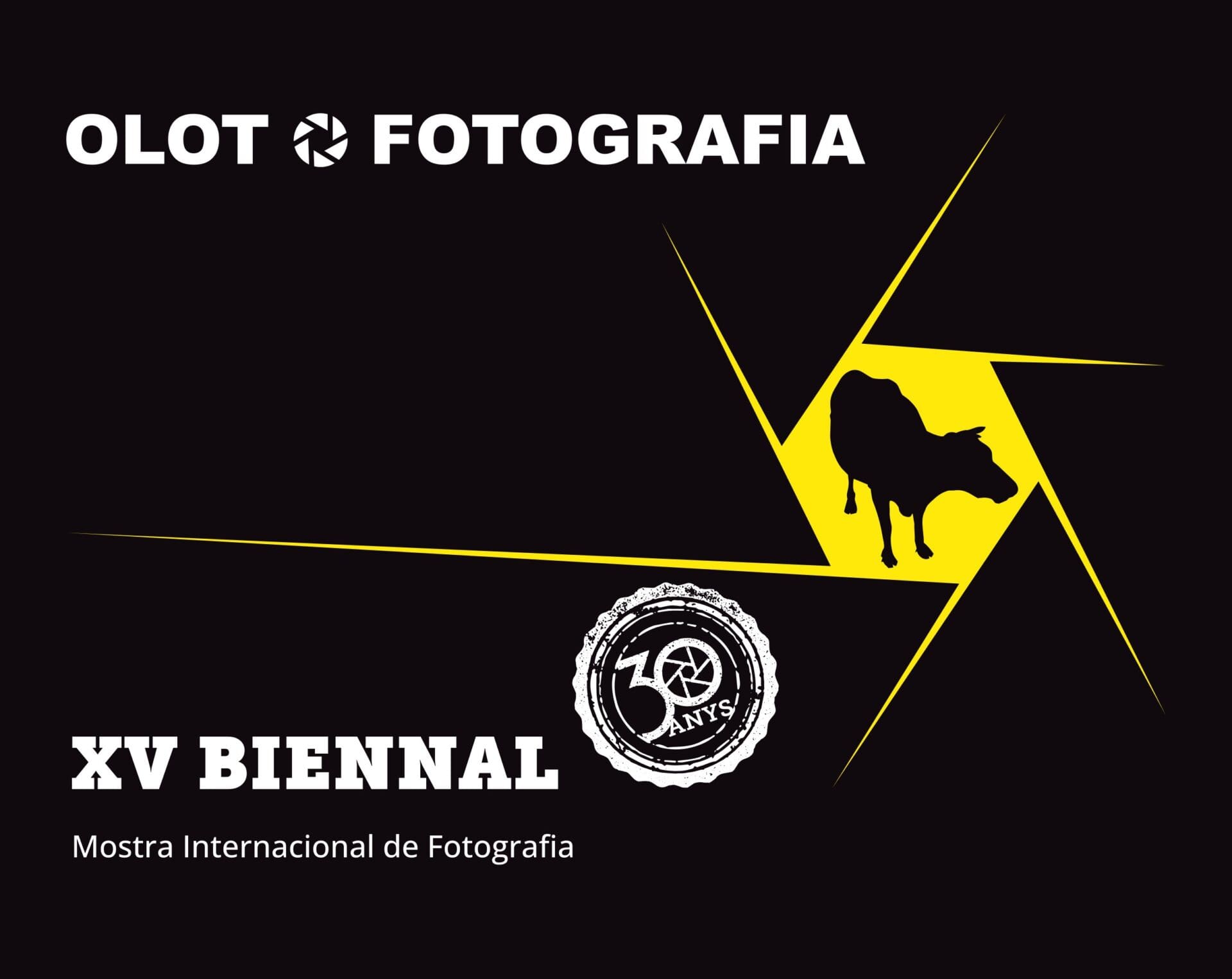 Biennal Olot Fotografia