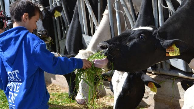 Go into the countryside and discover the origin of what you eat