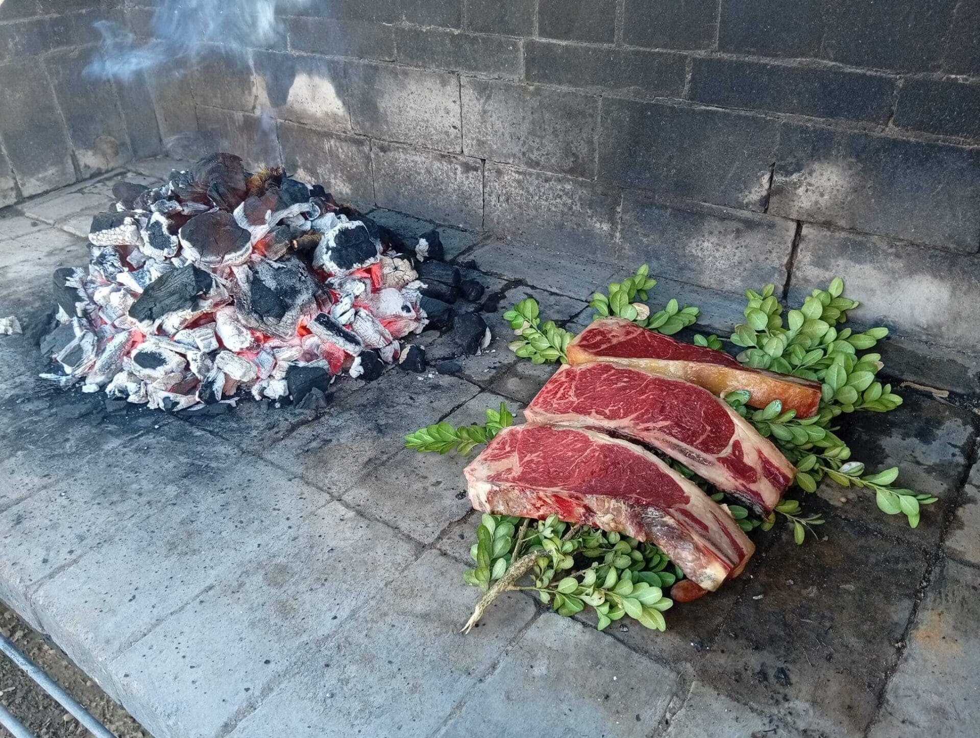 Neix la Garrotxuletada, la primera gran festa de les mitjanes de vaca a les comarques de Girona