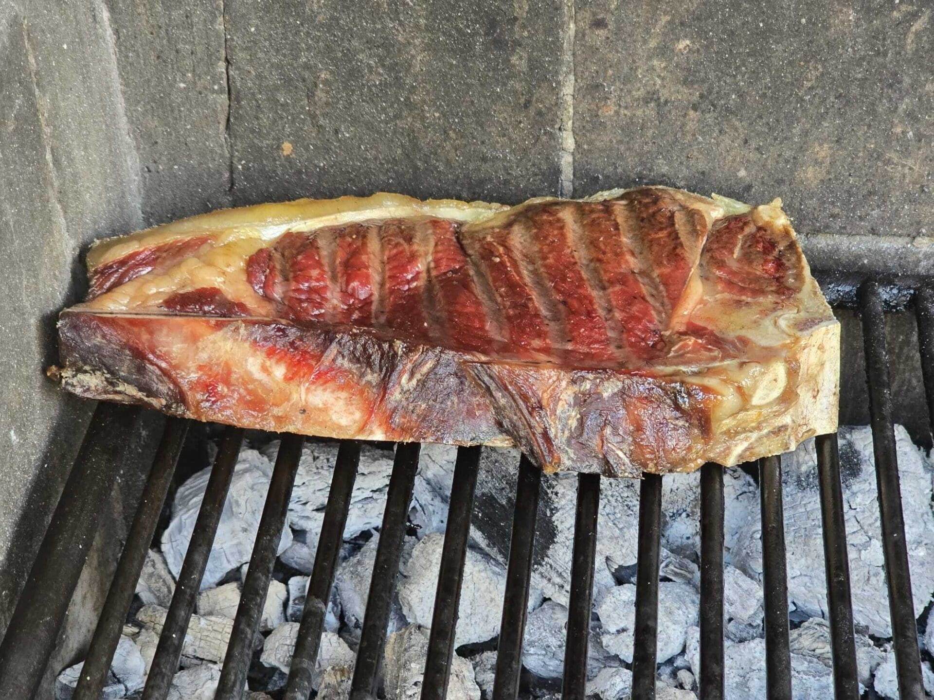 Neix la Garrotxuletada, la primera gran festa de les mitjanes de vaca a les comarques de Girona
