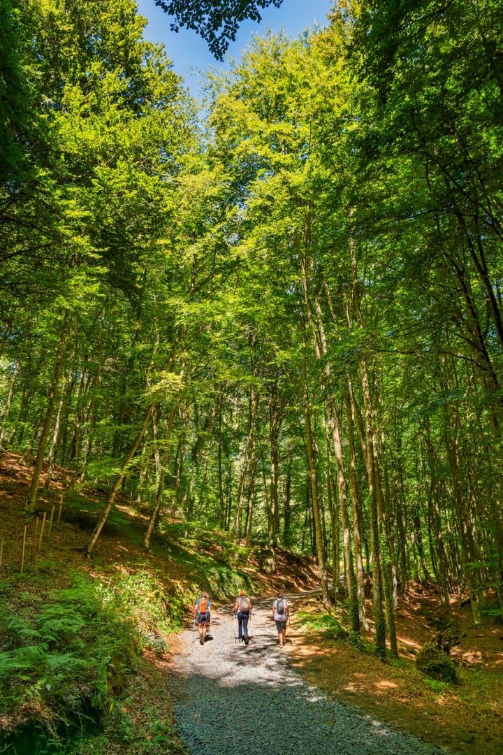 Les Roques Encantades