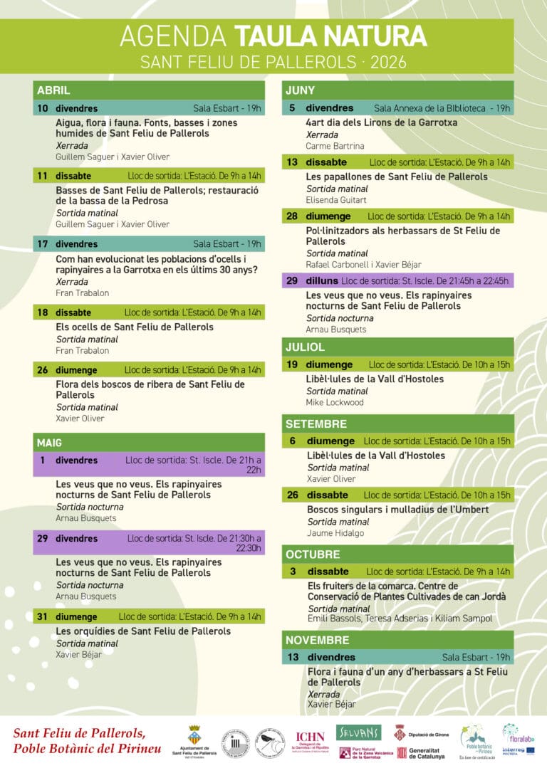 Les veus que no veus. Els rapinyaires nocturns de Sant Feliu de Pallerols