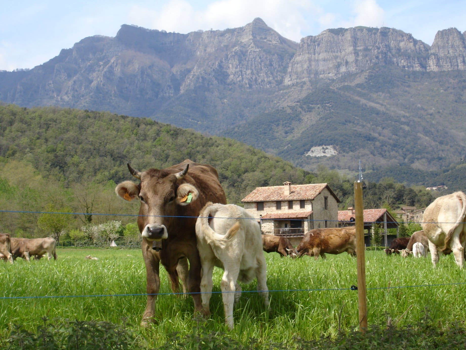 Slider 7 días – Siete días para vivir la esencia de la Garrotxa más auténtica