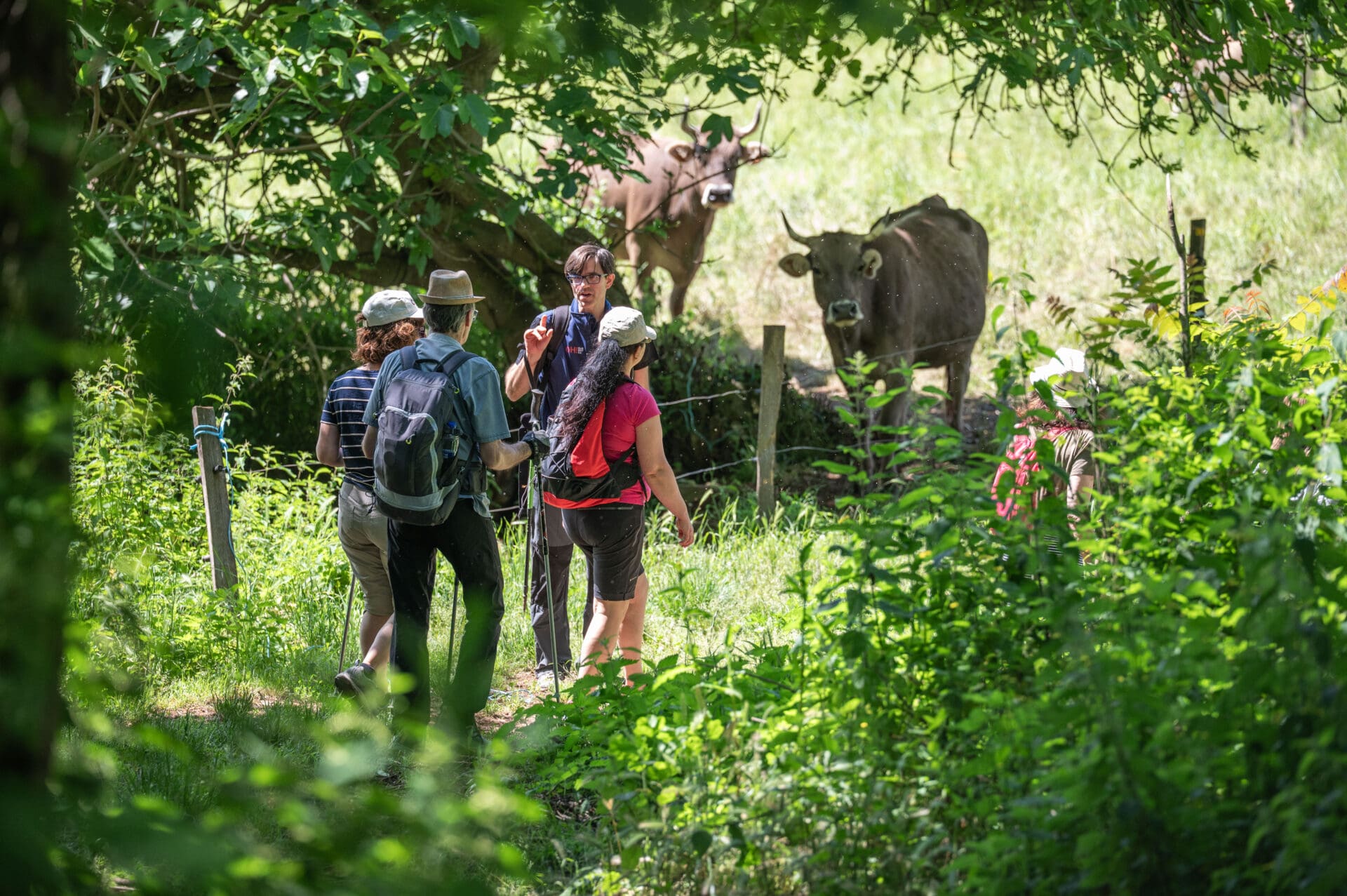 El Garrotxa Volcanic Walking es consolida amb la seva vuitena edició com un dels festivals de senderisme de referència dels Pirineus