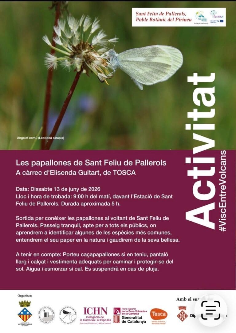 Les papallones de Sant Feliu de Pallerols