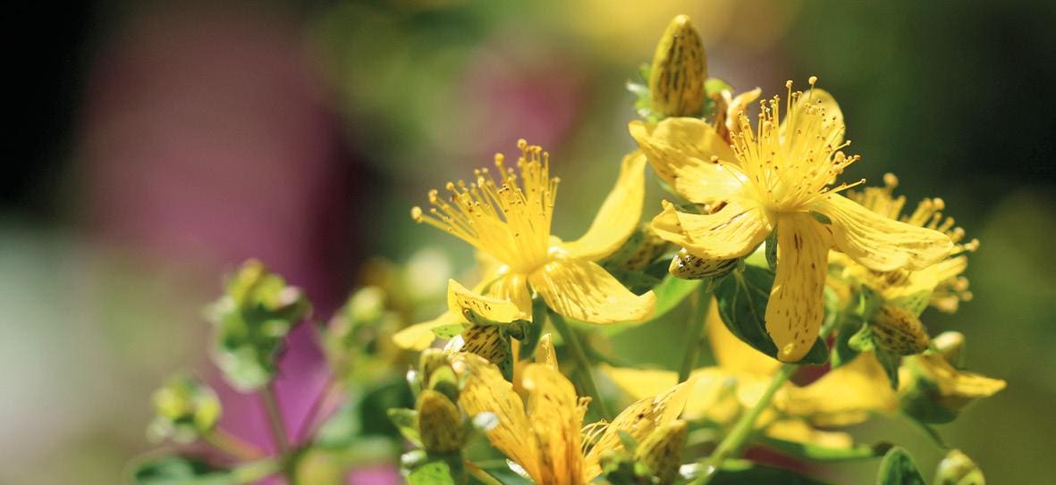 L’Espai Cràter presenta una primavera carregada de ciència, natura i propostes pensades per a tots els públics