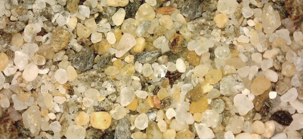 L’Espai Cràter presenta una primavera carregada de ciència, natura i propostes pensades per a tots els públics