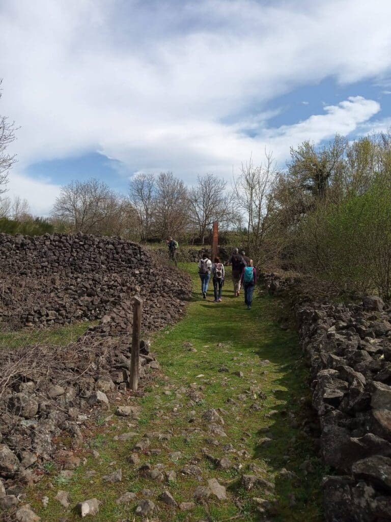 Laberinto de piedras