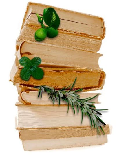 Taller de xapes de Sant Jordi