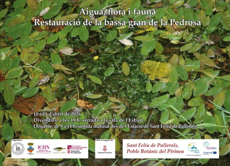 Aigua, flora i fauna. Restauració de la bassa gran de la pedrosa