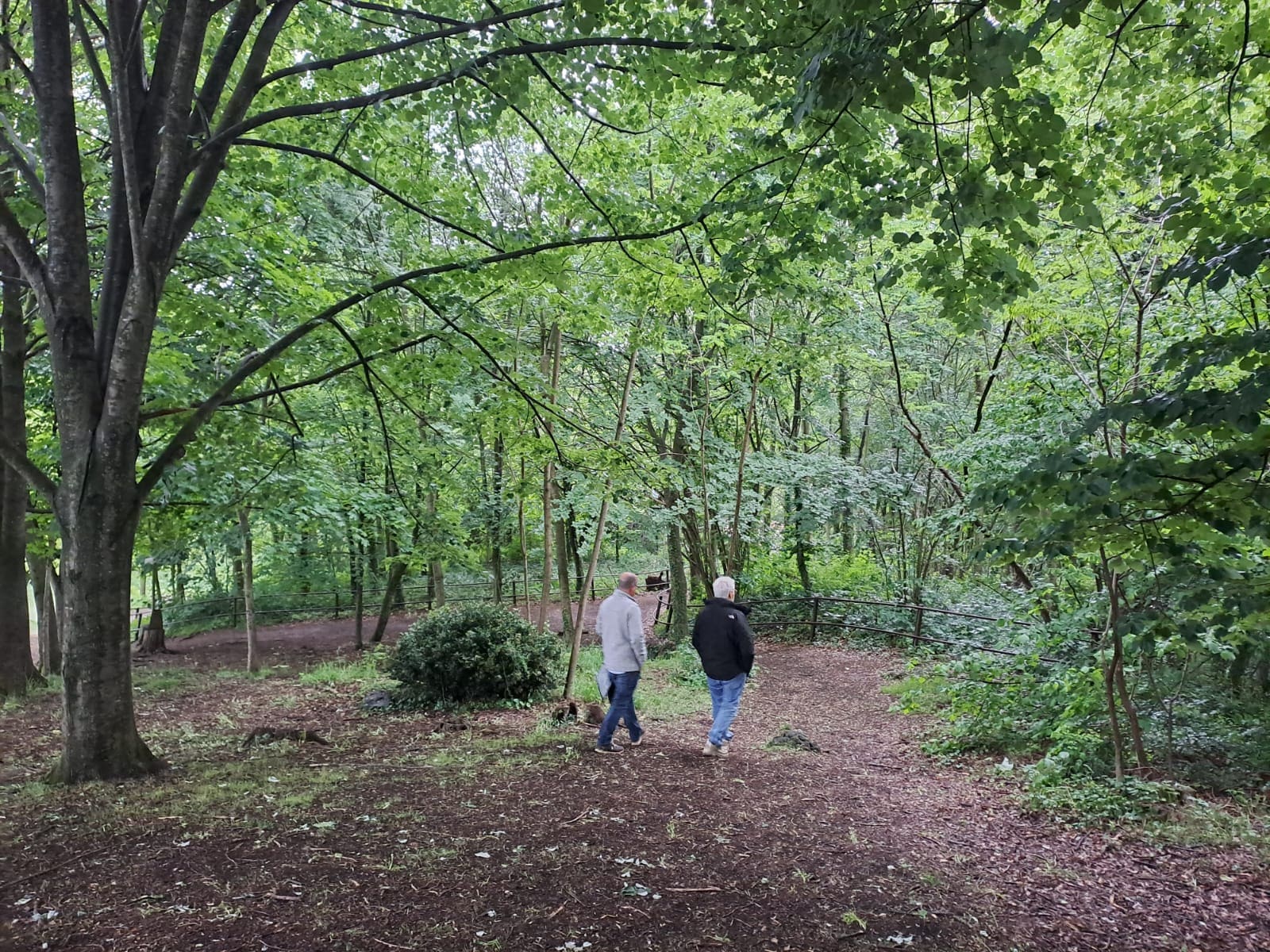 La Garrotxa se soumet à l’évaluation européenne pour renouveler la Charte du Tourisme Durable jusqu’en 2030