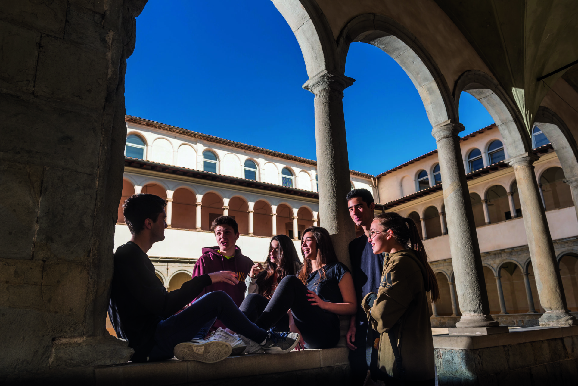 Els imprescindibles d'Olot