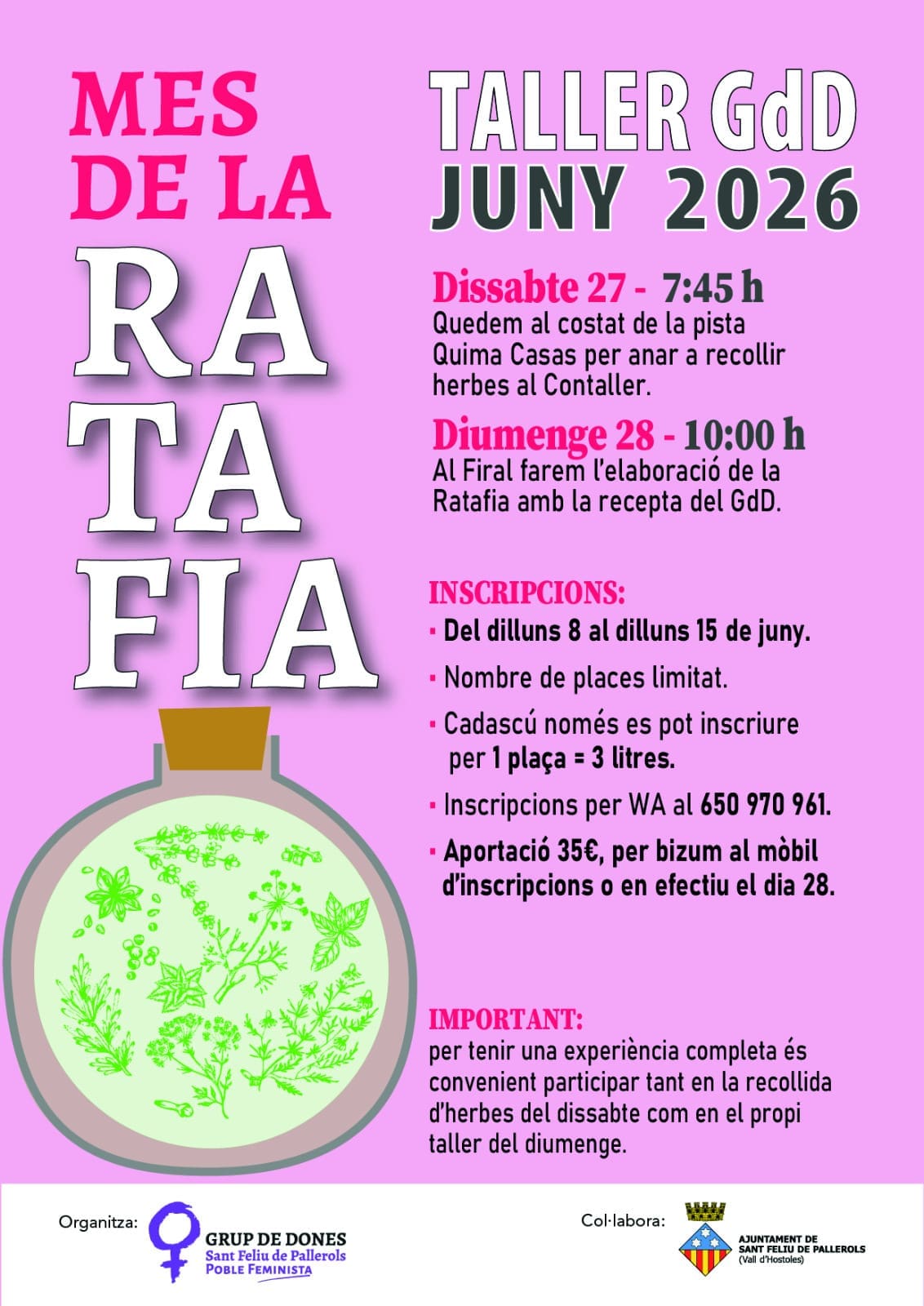 Recollida d’herbes i elaboració de ratafia