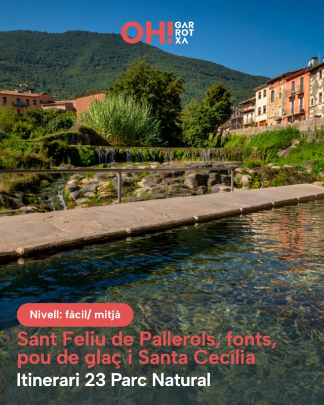💧Fonts que brollen entre la vegetació, ombres refrescants i racons plens d'encant. Aquest itinerari et convida a descobrir la Fàbrega, el Molí Nou, la Font Grossa, el Mosquer, la Fontana i la Teula, un conjunt de fonts que formen part del patrimoni natural de la comarca ⛲

🌿 A més, el recorregut permet visitar el Pou del Glaç i arribar fins a l'ermita de Santa Cecília, combinant natura, història i patrimoni en una mateixa ruta.

📸 @riunatur 
🕒 2h aproximadament
➡️ 3,5km
ℹ️ Itinerari 23 del Parc Natural- Sant Feliu de Pallerols, fonts, pou de glaç i Santa Cecília

💡 Guardeu- vos la publicació, i feu la ruta quan pugueu! 😜

@itinerannia_senders @consorci.enpaltagarrotxa @pngarrotxa @costabravapirineu @visitpirineus @catalunyaexperience @descobreixcatalunya @santfeliudepallerols_cat