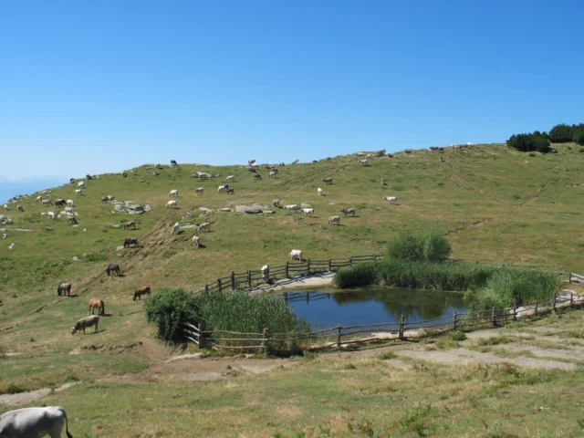 🌿 El programa d’activitats d’educació ambiental als Espais Naturals Protegits de la Garrotxa, Visites amb valors, us convida a descobrir el territori d’una manera respectuosa, conscient i connectada amb la natura.

📅 El 23 de juliol i el 6 d'agost us proposem una sortida per descobrir els antics oficis de bosc de l’Alta Garrotxa. Un recorregut per conèixer com carboners, llenyataires i altres oficis tradicionals van viure i treballar en aquest entorn, deixant una empremta que encara avui forma part del paisatge. 🌳🪓

ℹ️ Programa organitzat pel Parc Natural de la Zona Volcànica de la Garrotxa i el Consorci de l’Alta Garrotxa.

✨ Activitat gratuïta
📝 Cal inscripció prèvia
📍 @pngarrotxa

@itinerannia_senders @consorci.enpaltagarrotxa @pngarrotxa @costabravapirineu @visitpirineus @catalunyaexperience @descobreixcatalunya