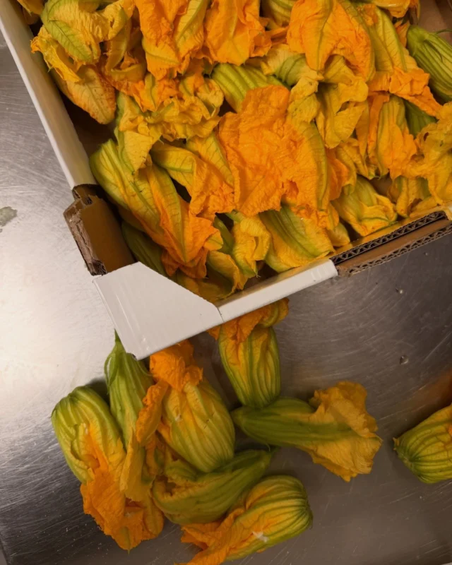 Lleugers, delicats i efímers, els badocs són un dels productes més esperats de l'estiu 🥒

Collits al punt just, arriben a les cuines dels restaurants de la Garrotxa per convertir-se en plats que celebren la temporada i el territori.

Cuinar amb el que dona la terra en cada moment és una manera de preservar les tradicions, donar valor als productors locals i oferir una experiència autèntica 🍽

📸@cafe_europa_olot

@itinerannia_senders @costabravapirineu @visitpirineus @catalunyaexperience @descobreixcatalunya @somgastronomia @foodcostabrava @garrotxahostalatge @delitgastronomic